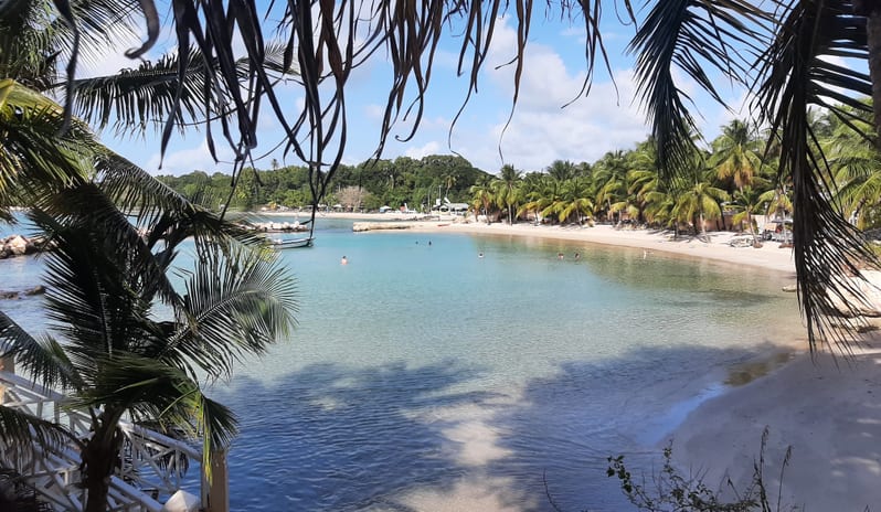 COCO REEF - Coco Bay